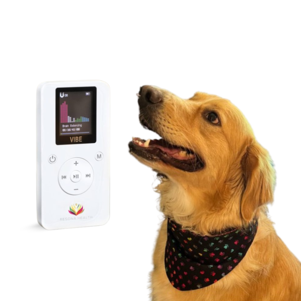 PEMF Therapy for Dogs