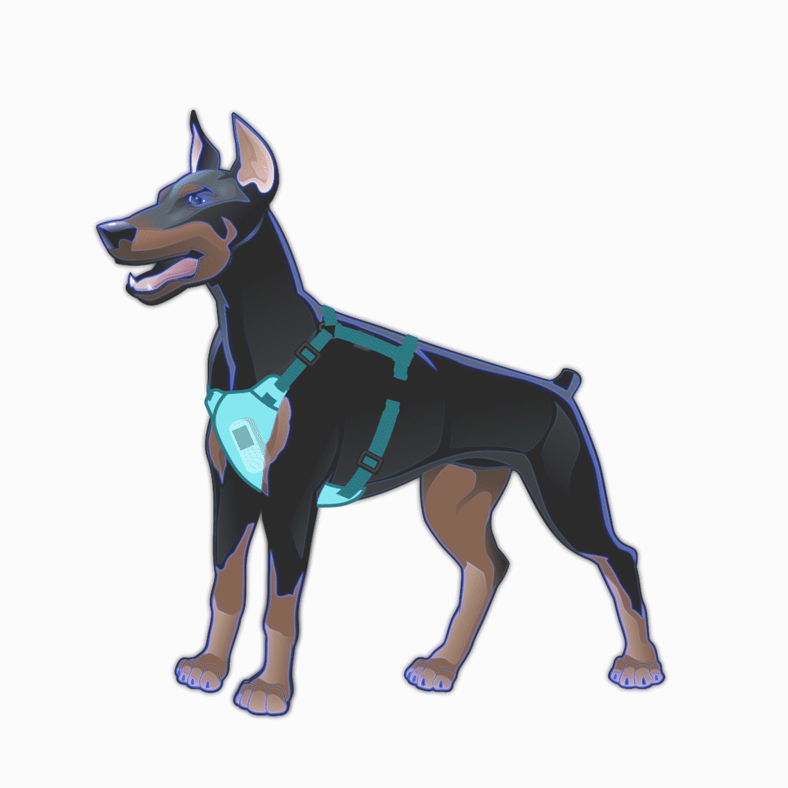 pemf for dogs