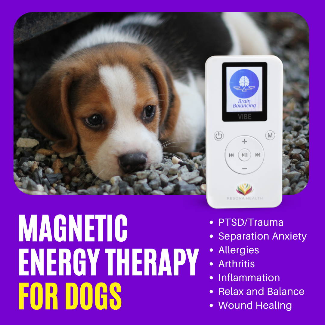 PEMF for dogs