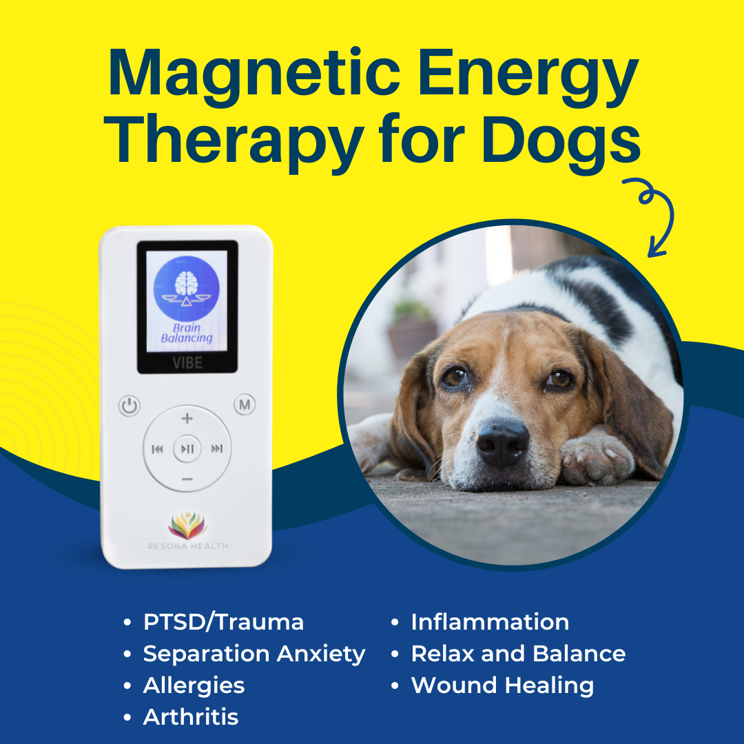 PEMF for dogs