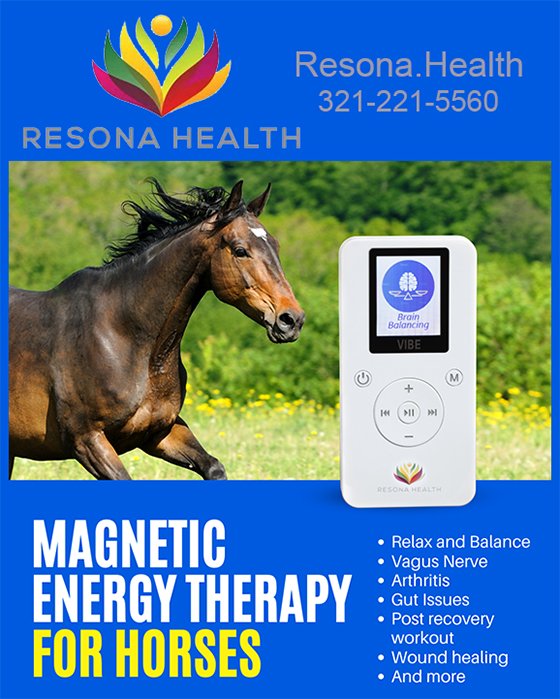 Magnetic Energy Therapy for Horses