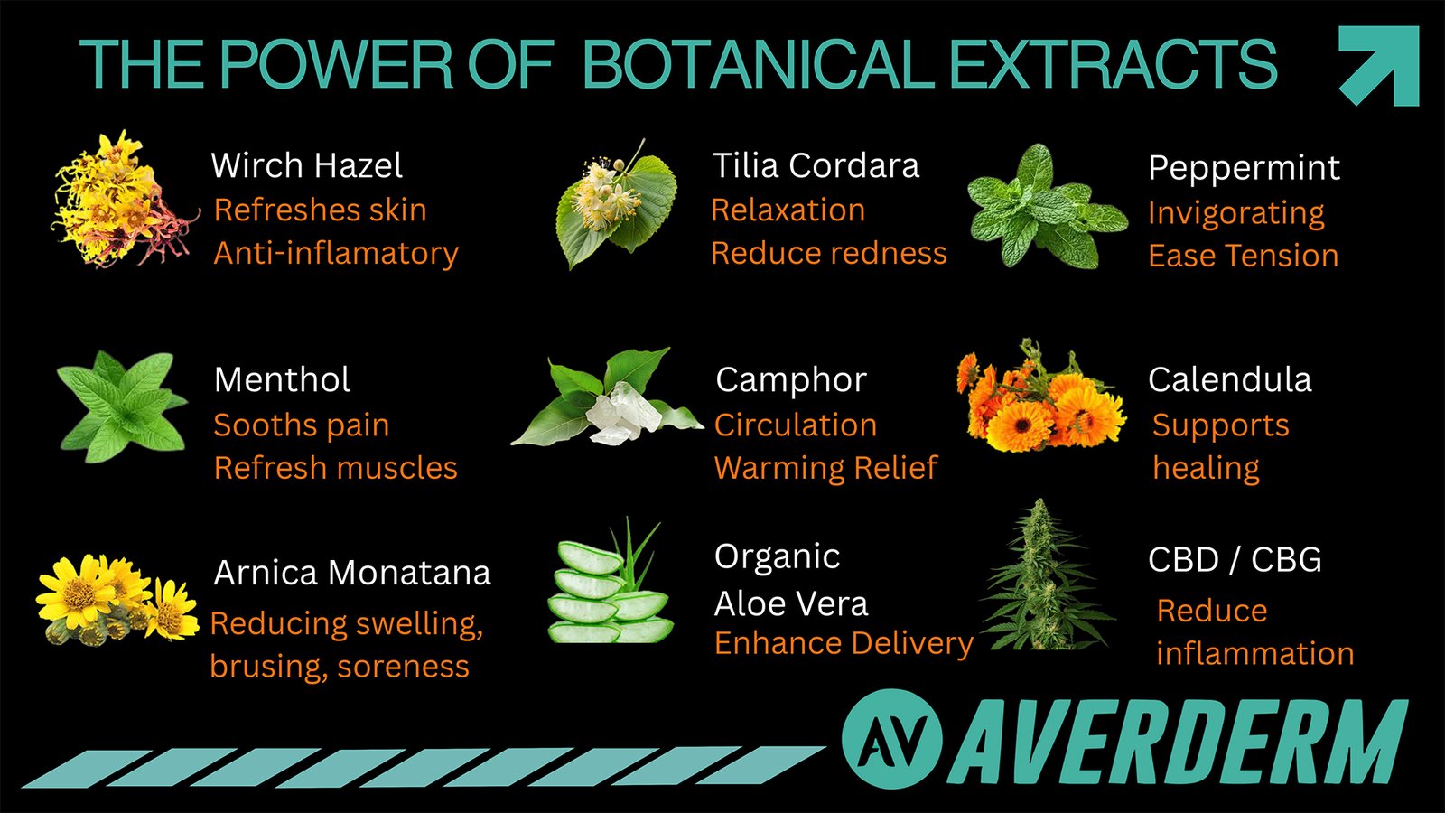 Averderm - Botanical Extracts